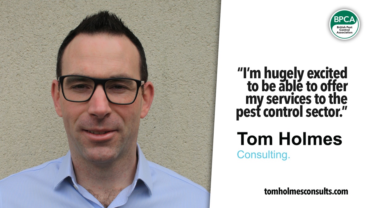 tom-holmes-consulting-hero tom-holmes-consulting-hero
